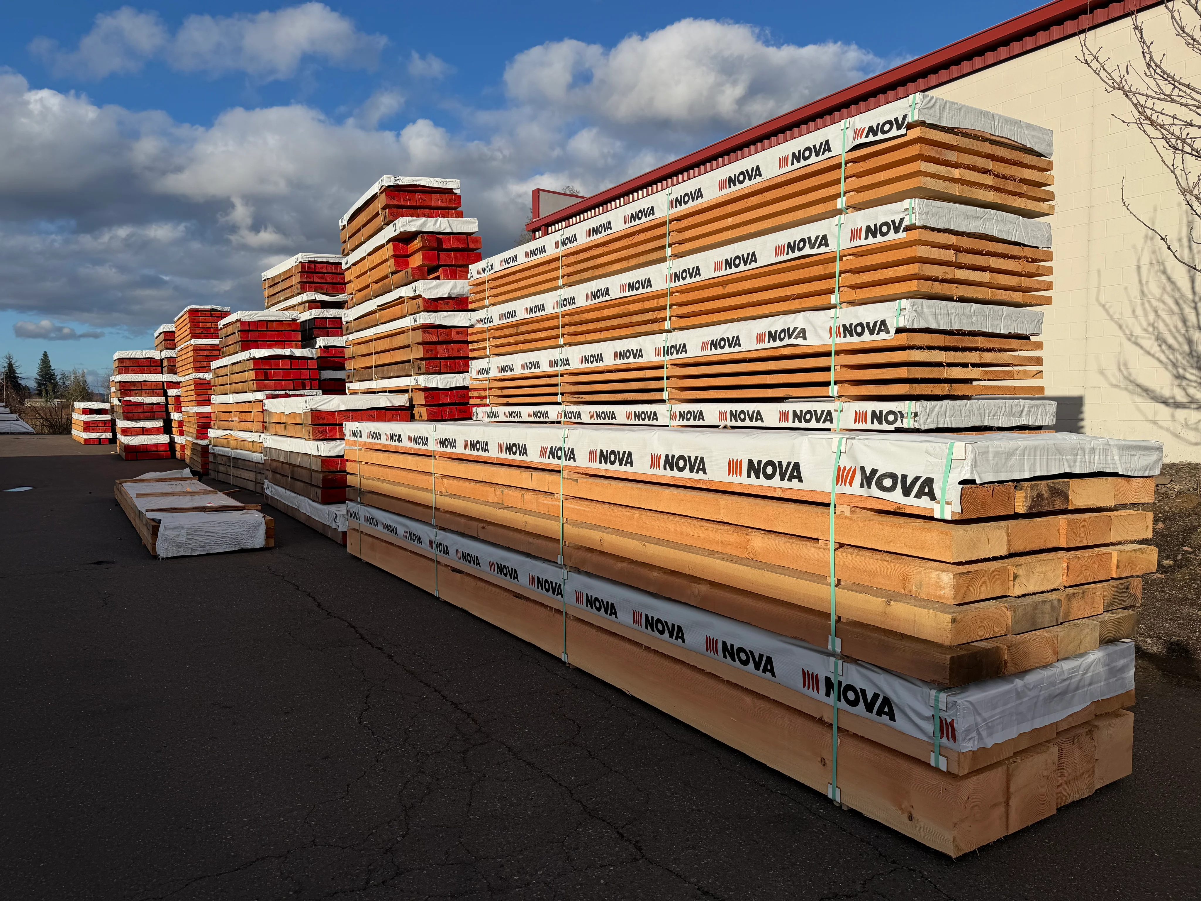 Douglas Fir 4x4 Timber