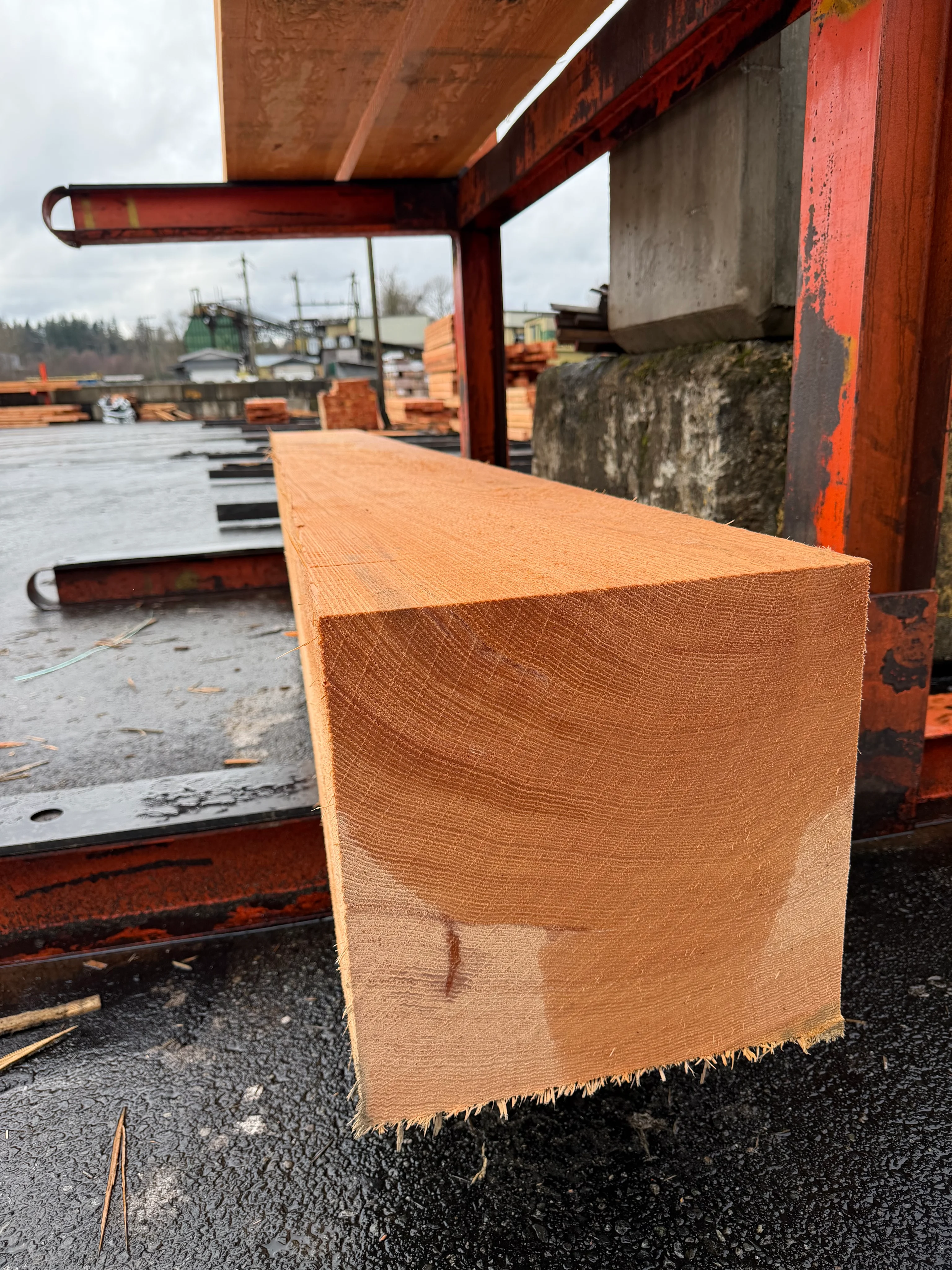 Douglas Fir 12x12 Timber