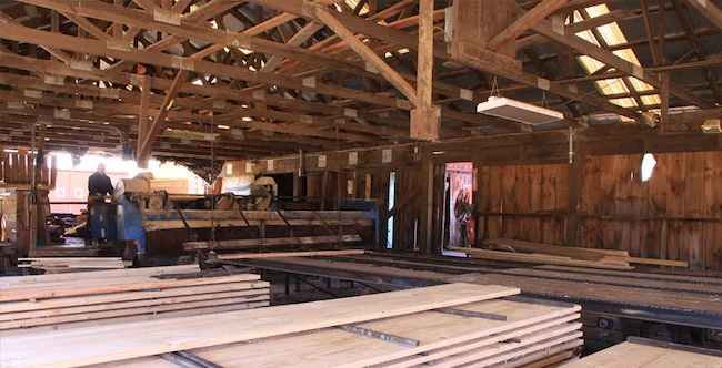 Timber-framed sawmill interior with fresh boards on the deck