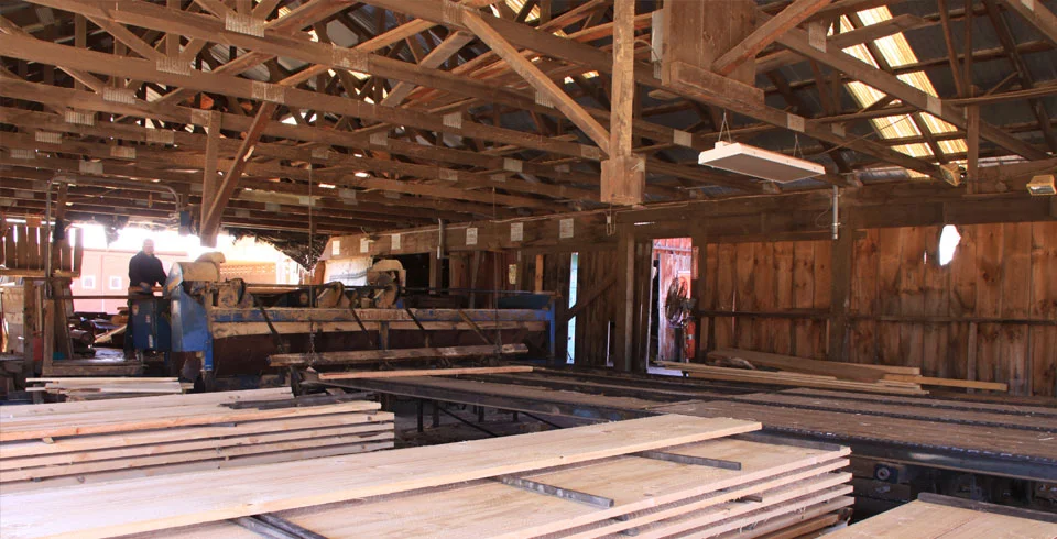 Sawyer running the mill inside the Meltz Lumber sawmill