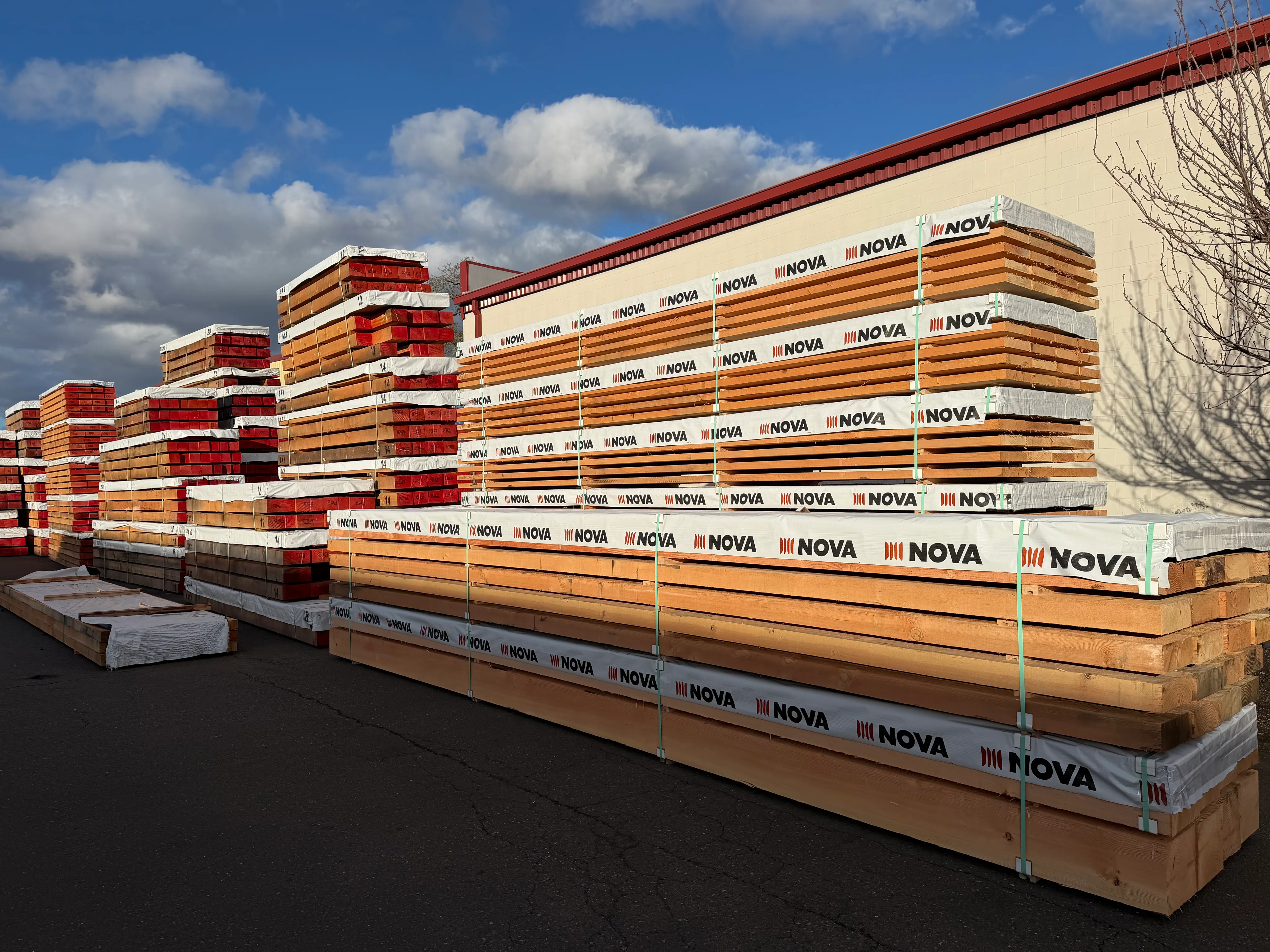 Douglas Fir 2x10 Long Length 20–26'