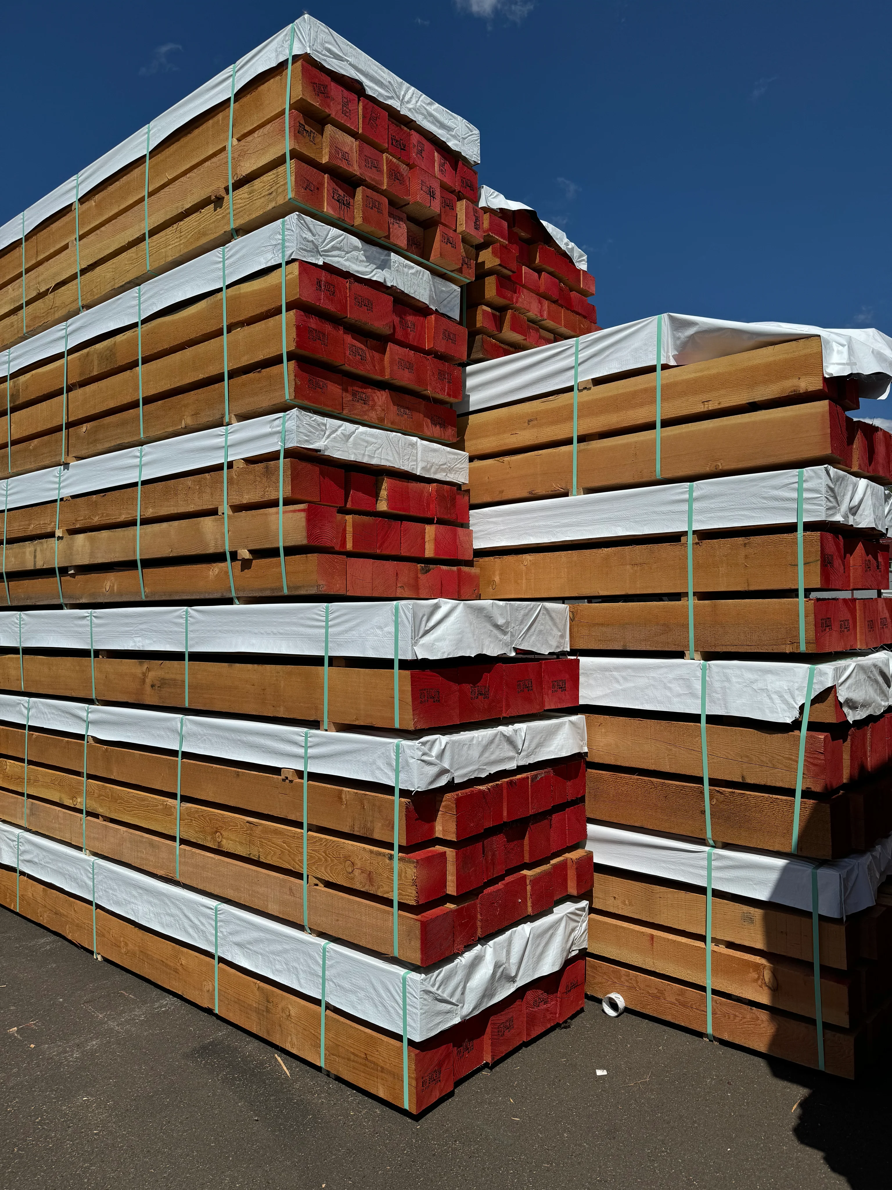Douglas Fir 6x6 Timber