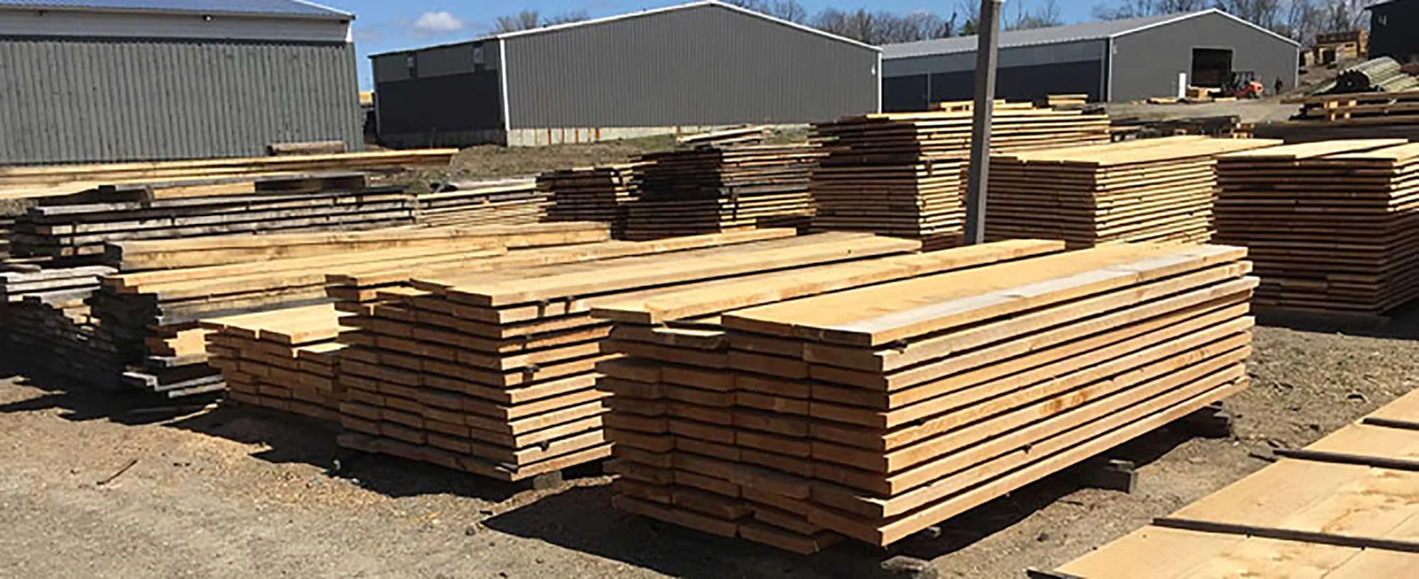Freshly sawn boards stacked to air dry in the mill yard